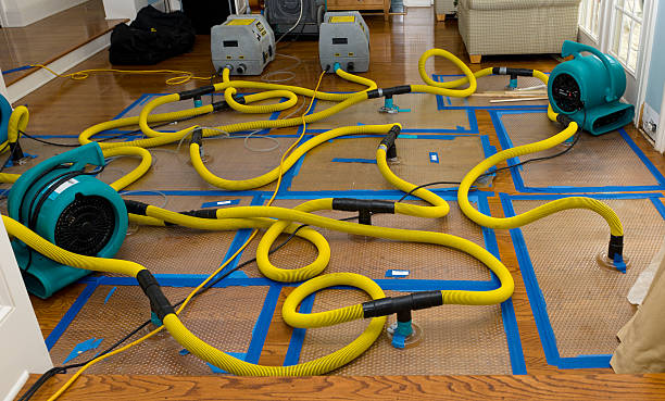 Professional Basement Flood Cleanup technician working in Conesville, OH